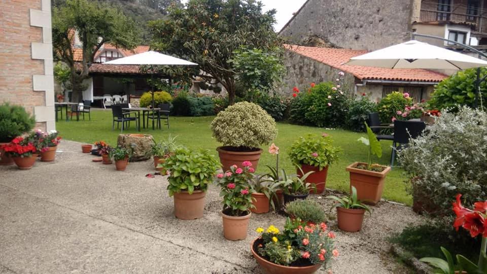 Posada De Muno Muñorrodero Eksteriør bilde
